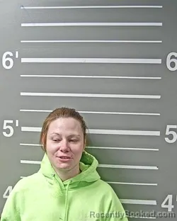 Mugshot of GINA M VOLLENTINE