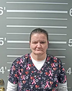 Mugshot of KIMBERLY S BEIERMANN