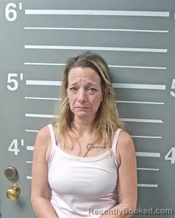 Mugshot of JUDY A WILKINS