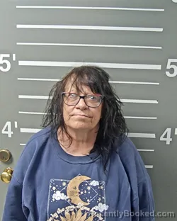 Mugshot of ABBE L TERRY booked in Montgomery County, Illinois on May 7, 2026
