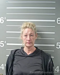 Mugshot of AMY S ODLE