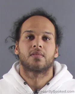 Mugshot of ZACHARY D WILLIAMS KNEE