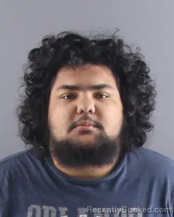 Booking photo from Peoria County, Illinois