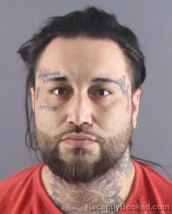 Mugshot of SAMUEL T PERKINS