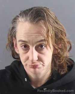 Mugshot of AMANDA D KRONTZ