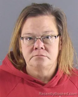 Mugshot of AMY L NORTON