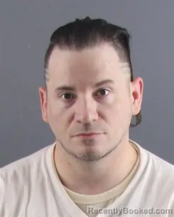 Mugshot of ERIK E PACELT