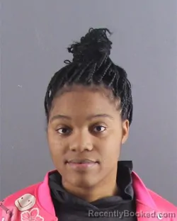 Mugshot of ADRIA O WILLIAMS