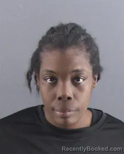 Mugshot of VIONCA NICOLE JOHNSON