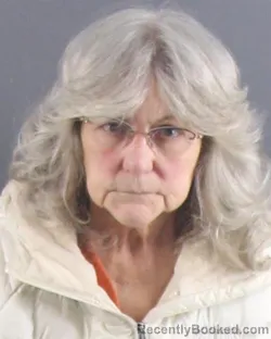 Mugshot of SHERRY L DOOLEY