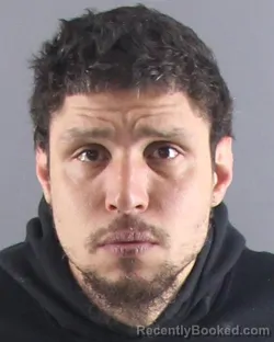 Mugshot of NELSON CRUZ