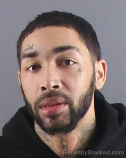 Mugshot of JULIENE CLOSE