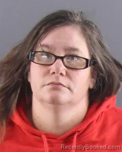 Mugshot of DEANNA M ANDRIS