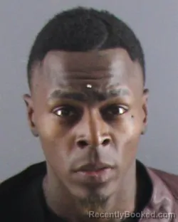 Mugshot of IVAN D ELLIS