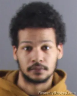 Mugshot of MARTIN J PEEPLES