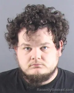 Mugshot of WILLIE R HAMLET-REVELLE