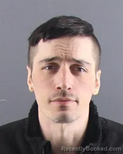 Mugshot of DOMINIC A FIGURSKI