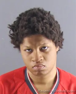 Mugshot of ERICA S MUELLER