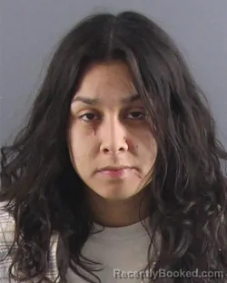 Mugshot of VICKY E ARAIZA