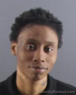 Mugshot of SHANNON M SCHROCK