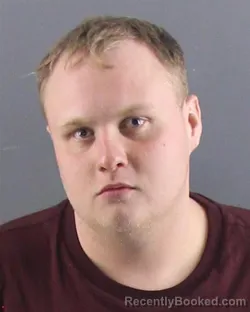 Mugshot of DILLION A SHELTON