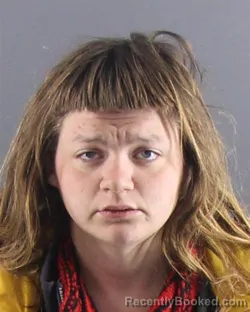 Mugshot of ASHLEY N DIXON