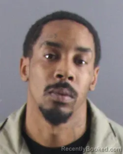 Mugshot of SHON T ROBINSON