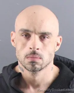 Mugshot of STEVEN N NUNNALLY