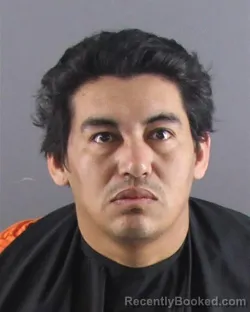 Mugshot of SANTOS E GUIFARRO-GUILLEN