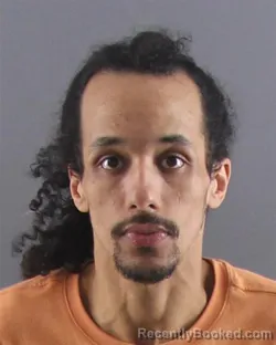 Mugshot of JASON M HOLEMAN