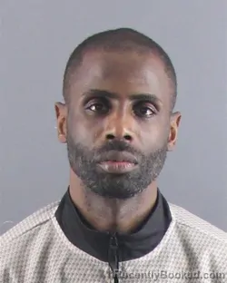 Mugshot of RONNIE B NELSON