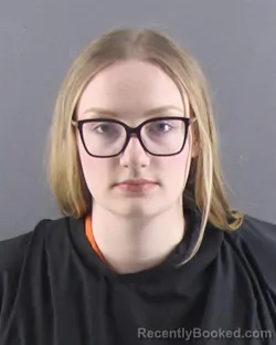 Mugshot of MADISYN E ANDREWS