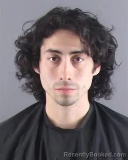 Mugshot of BRADLEY D PEREZ booked in Peoria County, Illinois on March 29, 2026