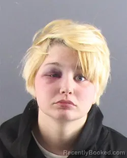 Mugshot of DANIELLE R ARTER booked in Peoria County, Illinois on March 30, 2026