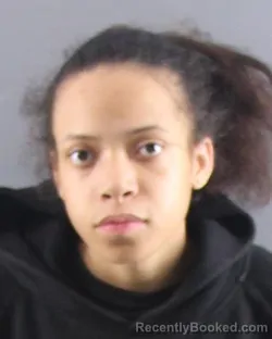 Mugshot of JANAE A LEWIS booked in Peoria County, Illinois on March 31, 2026