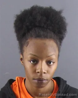 Mugshot of NIA KM WILLIAMS booked in Peoria County, Illinois on March 31, 2026