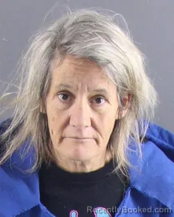 Mugshot of LISA A GRYP booked in Peoria County, Illinois on April 1, 2026