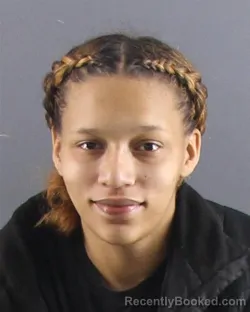 Mugshot of BRIANNA N PAGE booked in Peoria County, Illinois on April 2, 2026