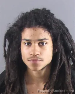 Mugshot of JAMAR L DEESE booked in Peoria County, Illinois on April 3, 2026