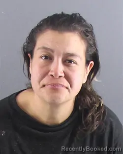 Mugshot of KANDI L SMITH booked in Peoria County, Illinois on April 4, 2026