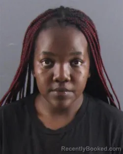 Mugshot of SHANITAH N MANSOOR booked in Peoria County, Illinois on April 4, 2026