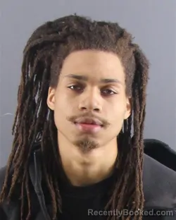 Mugshot of NIYEA N HINES-ADAMS booked in Peoria County, Illinois on April 5, 2026