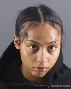 Mugshot of ARRIONNA C WELLS-CHILDS booked in Peoria County, Illinois on April 6, 2026