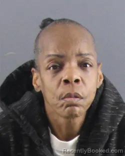 Mugshot of MALINDA A THOMPSON booked in Peoria County, Illinois on April 6, 2026