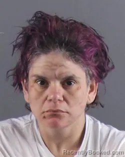 Mugshot of SAMANTHA J PAINTER booked in Peoria County, Illinois on April 6, 2026