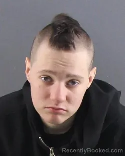 Mugshot of NATALIE A JACKSON booked in Peoria County, Illinois on April 8, 2026