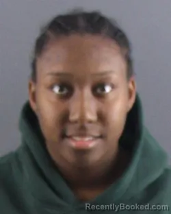 Mugshot of TAMIKA L WARNER booked in Peoria County, Illinois on April 9, 2026