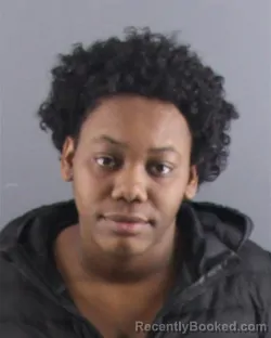 Mugshot of MACKENZIE J ROSS booked in Peoria County, Illinois on April 9, 2026