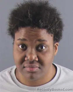 Mugshot of ABRIL S ERVING booked in Peoria County, Illinois on April 10, 2026