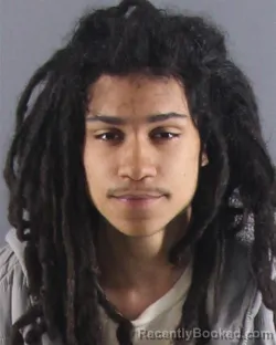 Mugshot of JAMAR L DEESE booked in Peoria County, Illinois on April 11, 2026